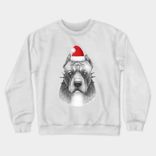 Winter pitbull Crewneck Sweatshirt